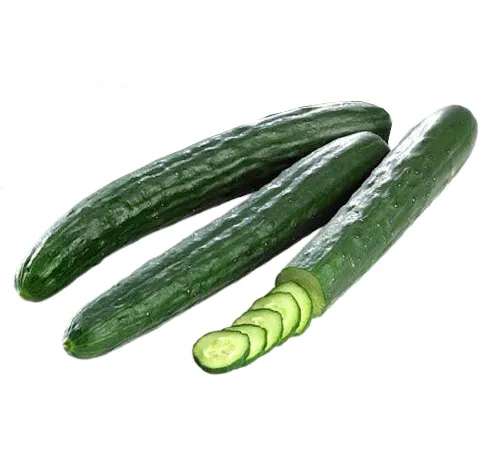 Long Cucumber Each
